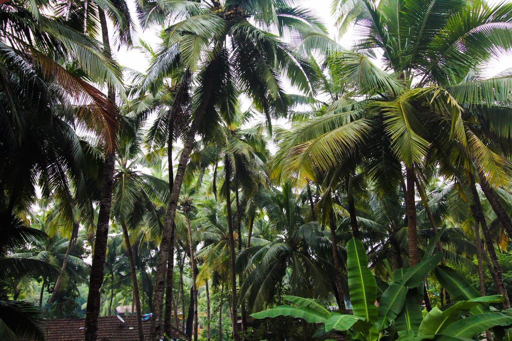 Hilias Retreat Hotel Palolem Exterior photo